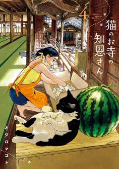 猫のお寺の知恩さん 4巻