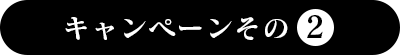 キャンペーンその2