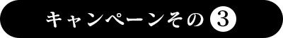 キャンペーンその2