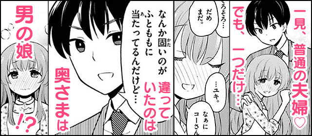 こんな嫁がほしい特集 小学館eコミックストア 無料試し読み多数 マンガ読むならeコミ