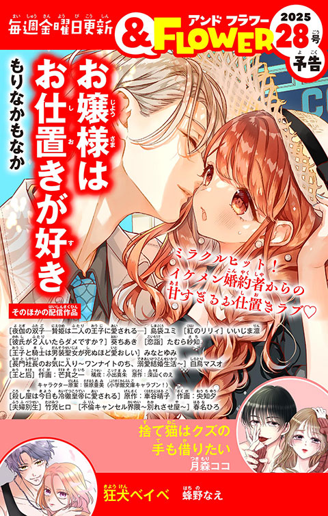 ＆FLOWER28号予告 RED
