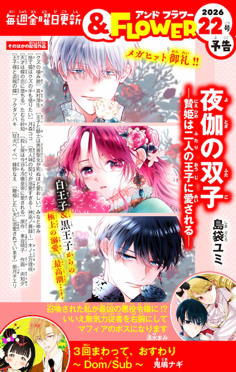 ＆FLOWER22号予告 RED