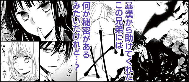『ヤカンヒコウ〜Vampire Knight〜』を試し読みする