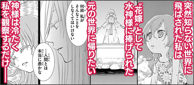 『水神の生贄』を試し読みする