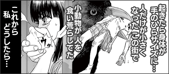 『ワンダーランド』を試し読みする