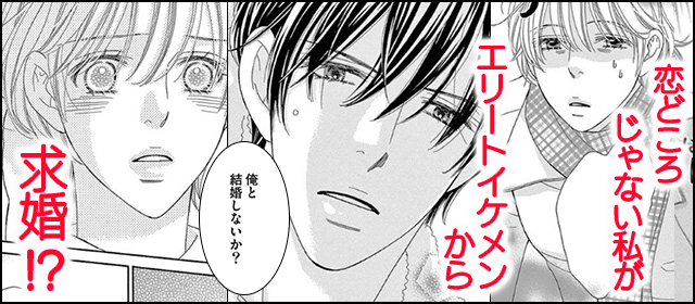 『偽装結婚の心得』を試し読みする