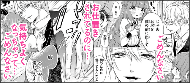『お嬢様はお仕置きが好き【マイクロ】』を試し読みする