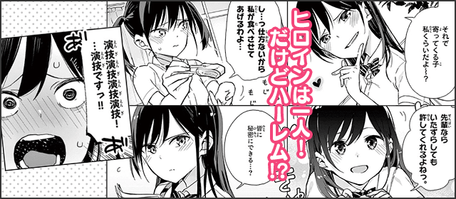 『疑似ハーレム』を試し読みする