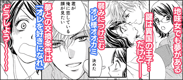 『プライベート・プリンス』を試し読みする