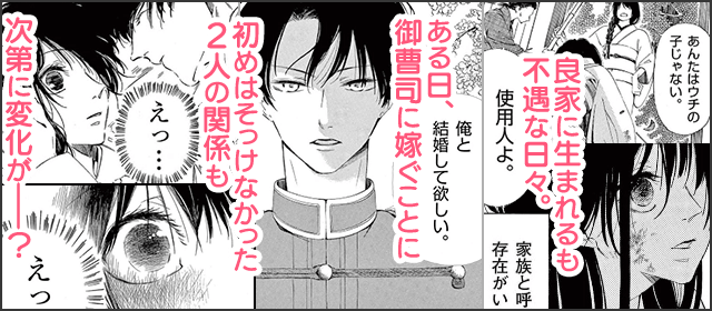 『灰被り姫は結婚した、なお王子は』を試し読みする