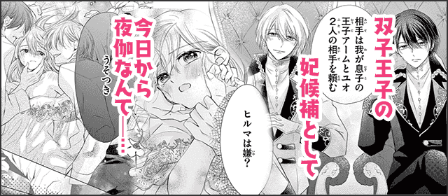 『夜伽の双子―贄姫は二人の王子に愛される―』を試し読みする