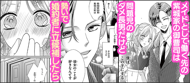 『紫城大和のファーストレディ【マイクロ】』を試し読みする