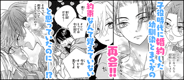 『30歳になったら結婚しよって言ったよな【マイクロ】』を試し読みする