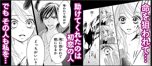 『BLACK BIRD』を試し読みする