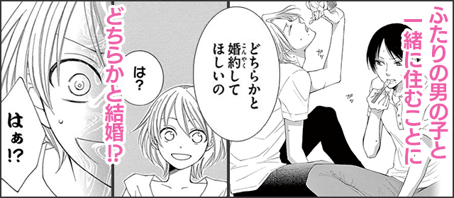 『ロッカメルト フィアンセは雪男』を試し読みする