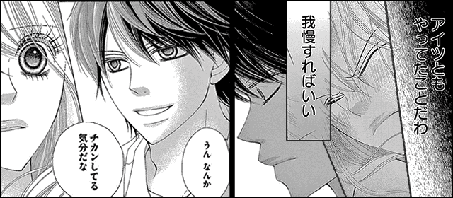 『セカンドバージン』を試し読みする