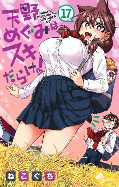 天野めぐみはスキだらけ！ 17巻