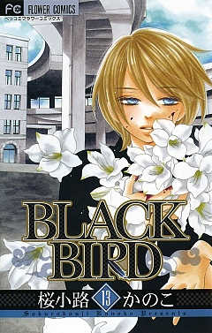 BLACK BIRD 13巻