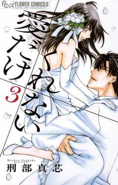 愛だけ くれない 3巻