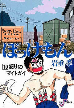 ぼっけもん 10巻