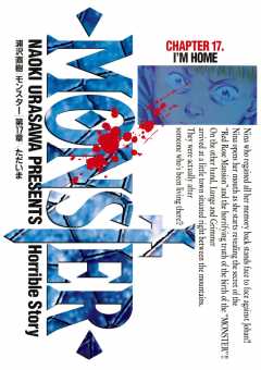 MONSTER 完全版　デジタルVer. 17巻