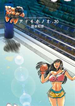 アオイホノオ 30巻