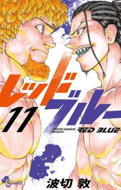 レッドブルー 11巻