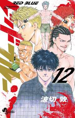 レッドブルー 12巻