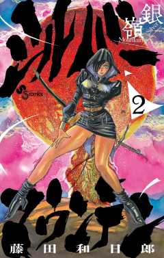 シルバーマウンテン 2巻