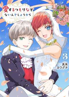 愛するつもりなぞないんでしょうから 3巻