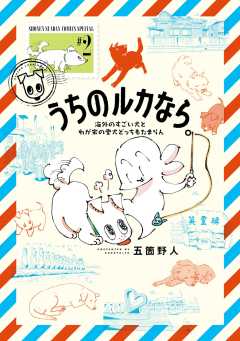 うちのルカなら。 海外のすごい犬とわが家の愛犬どっちもたまらん