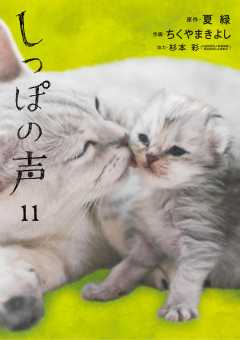 しっぽの声 11巻