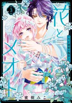 花とメオト－大正溺愛お伽草子－ 3巻