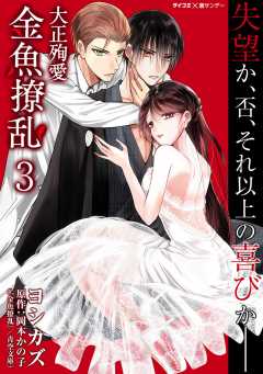 大正殉愛 金魚撩乱 3巻