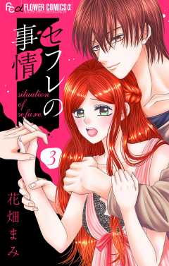 セフレの事情【マイクロ】3巻