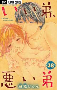 いい弟、悪い弟【マイクロ】 28巻