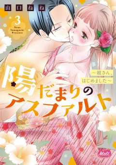 陽だまりのアスファルト【単行本】【電子限定特典付】 3巻