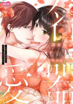 名器なカノジョの愛し方。 ～弁護士上司が私に本気になるそうです～【単行本】 2巻
