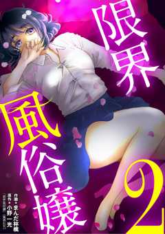 限界風俗嬢 2巻