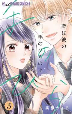 恋は彼の手のひらの上【マイクロ】 3巻