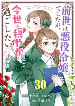 前世は悪役令嬢でしたが、今世は穏やかに過ごしたい【単話】 30巻