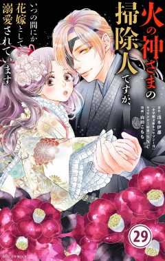 火の神さまの掃除人ですが、いつの間にか花嫁として溺愛されています【単話】 29巻
