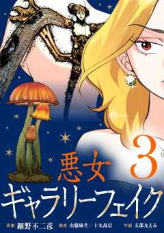 悪女ギャラリーフェイク 3巻