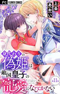 身代わりの偽姫は敵国皇子の寵愛になびかない【マイクロ】 11巻