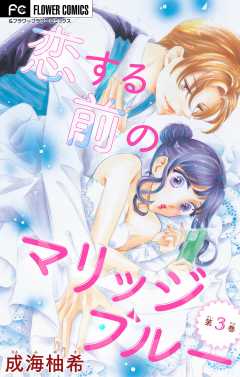 恋する前のマリッジブルー【マイクロ】 3巻