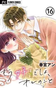 もう好きでしょ、オレのこと【マイクロ】 16巻