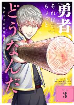 勇者、それはちょっとどうなんだ　～外道勇者は初期装備で無双する～ 3巻