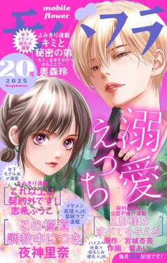 専用☆彡こんなの、しらない(20) こんなの、しらない (20) (フラワーコミックスα) | 梨月 詩 |本