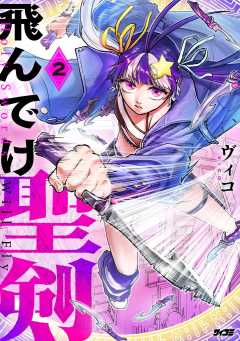 飛んでけ聖剣 2巻