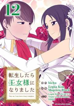 転生したら王女様になりました 12巻